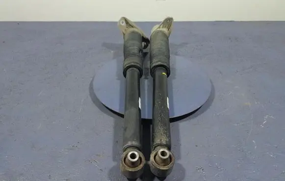 KIA Sportage Rear shock absorber/damper 55300-F1550