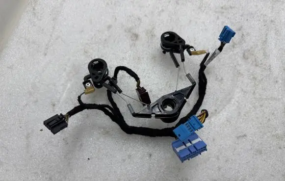 Other wiring loom
