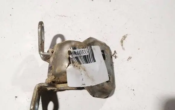 Ford Fusion Rear door lower hinge