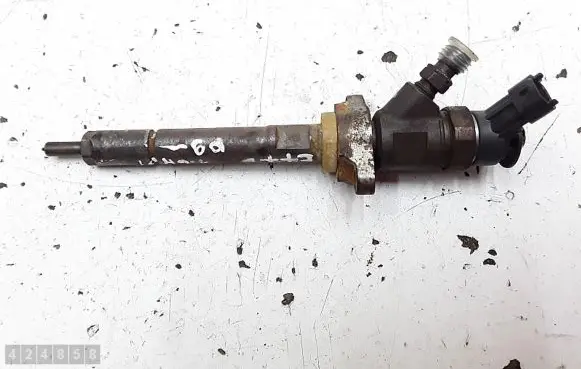 Citroen C3 Picasso Fuel injector 0445110311