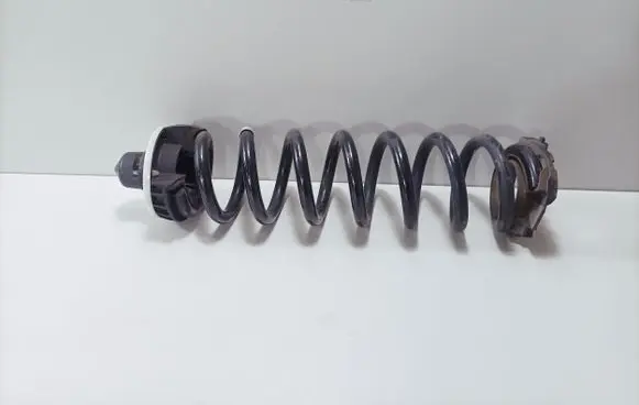 BMW 3 G20 G21 Rear coil spring 6889964 6875395