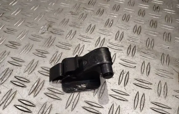 Renault Master IV Loading door check strap stopper 824312136R