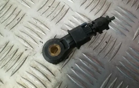 Opel Zafira B Detonation knock sensor 24435095