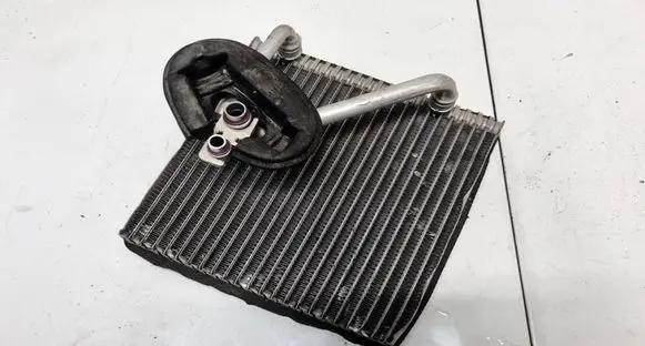 Volkswagen Golf V Heater blower radiator 