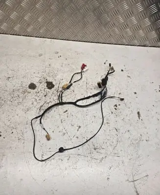 Audi A4 S4 B9 Rear door wiring loom 8W0971693J