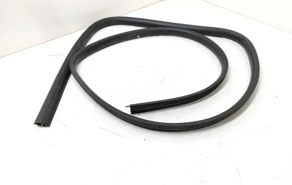 Renault Twingo II Front door rubber seal 