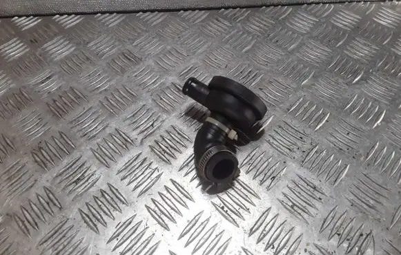 Volkswagen PASSAT B5.5 Breather valve 034129101B