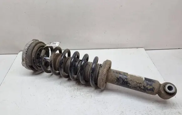 BMW X3 F25 Rear shock absorber with coil spring 6796317 33526796317