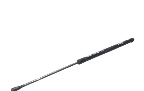Tailgate strut