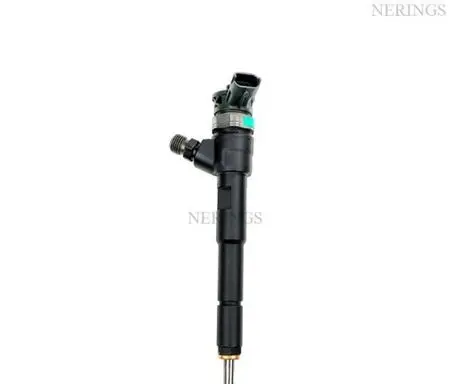 Dacia Dokker Fuel injector 0445110652