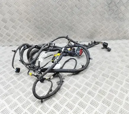 Aston Martin DBX Parking sensor (PDC) wiring loom PY8314N104AA