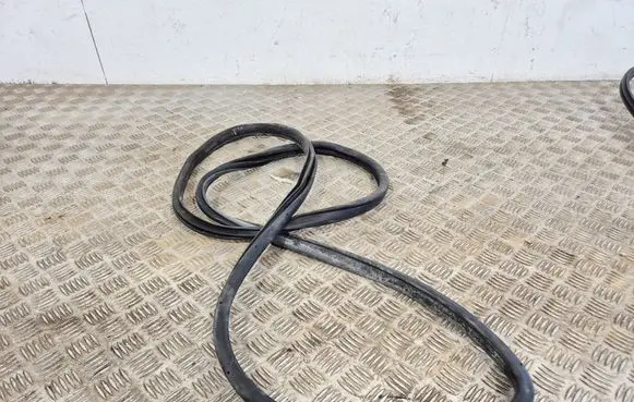 Nissan Rogue Rear door rubber seal (on body) 769237FL0A