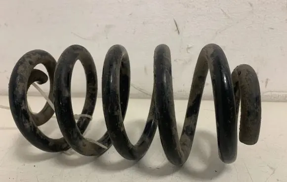 Rear coil spring