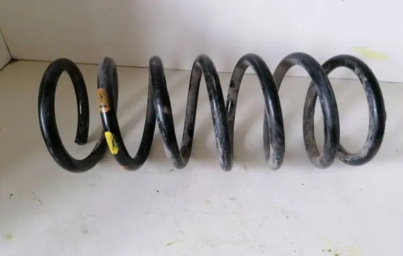 Rear coil spring