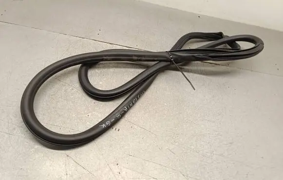 Opel Insignia B Front door rubber seal 