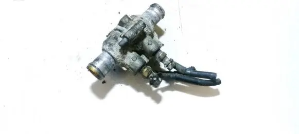 Citroen Berlingo Engine coolant pipe/hose