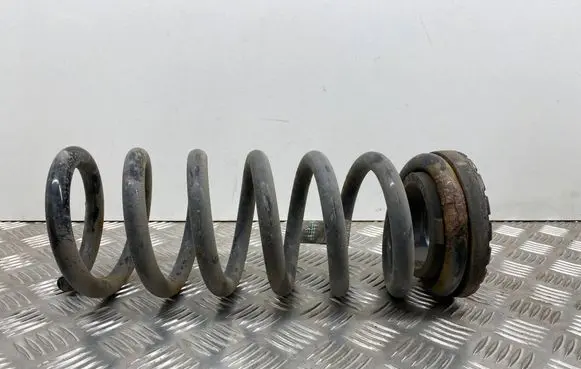 Ford Fusion II Rear coil spring DG9C5560 DG9C5560ABN