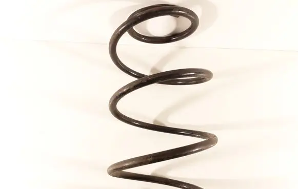 Front coil spring