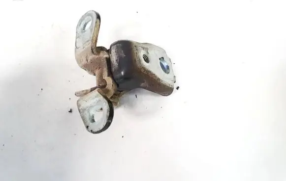 Skoda Roomster (5J) Front door upper hinge