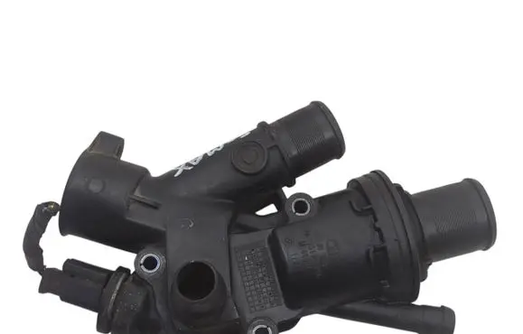 Thermostat/thermostat housing