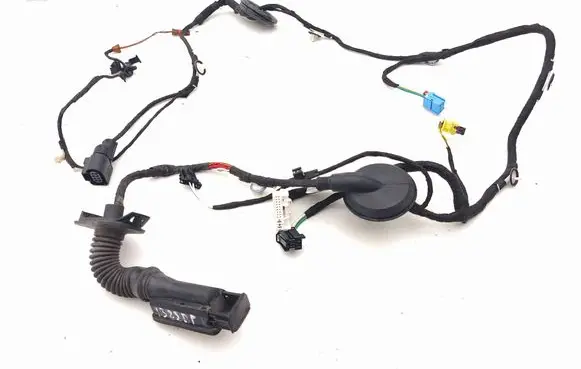 Front door wiring loom