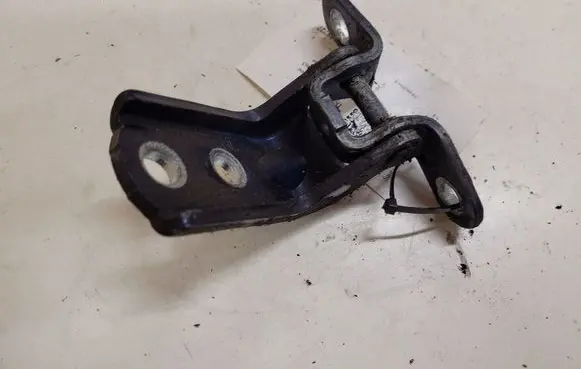 Hyundai Santa Fe Rear door lower hinge