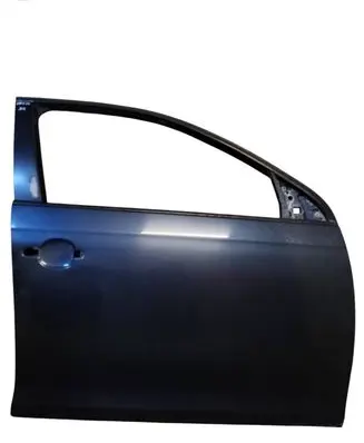 Volkswagen Golf V Front door