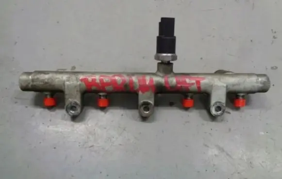 Citroen Berlingo Fuel injector supply line/pipe 