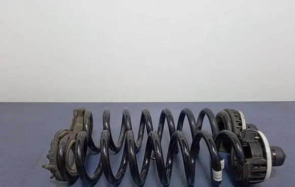 BMW 3 G20 G21 Rear coil spring 