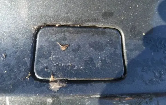 Peugeot 607 Rear bumper row hook cap/cover 