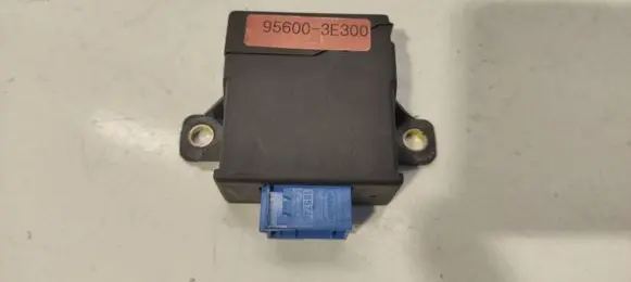 KIA Sorento Other control units/modules 956003E300