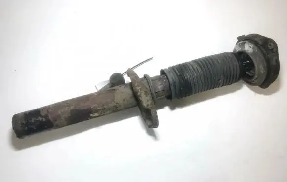 Volkswagen PASSAT B6 Front shock absorber/damper 3c0413031ac