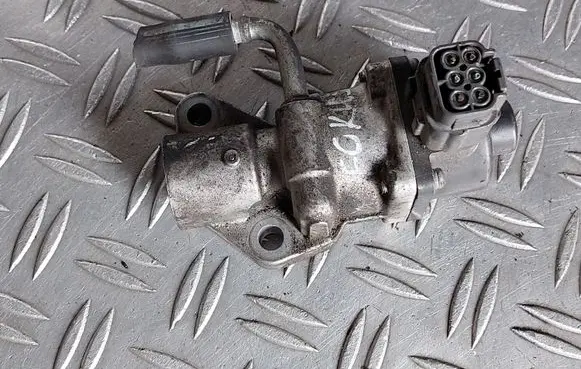 Ford C-MAX I EGR valve 1S7G9D475AJ