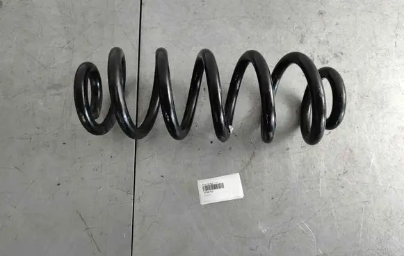 Rear coil spring