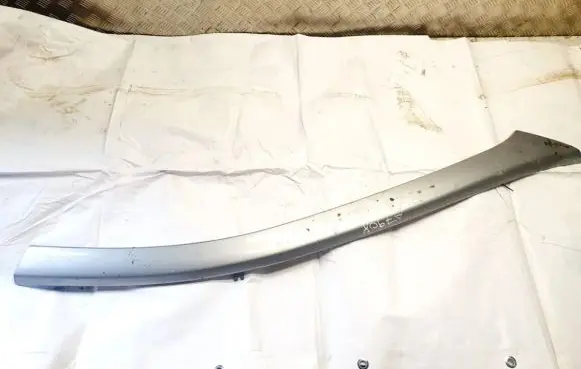 Front door glass trim molding