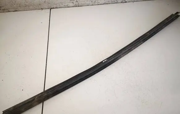 Renault Scenic II - Grand scenic II Rear door glass trim molding