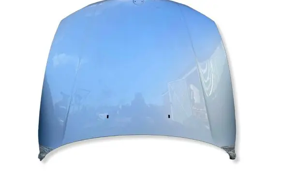 BMW 1 E81 E87 Engine bonnet/hood 