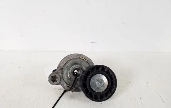 Volvo V60 Timing belt/chain tensioner 31330379