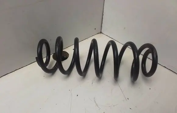 Rear coil spring