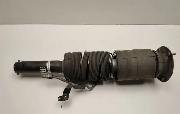 Mercedes-Benz S W220 Front shock absorber/damper A2203201638