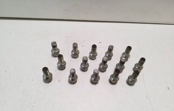 Cupra Born Nuts/bolts