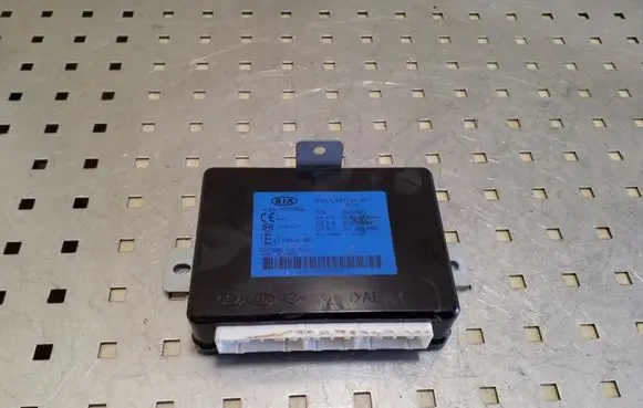KIA Sportage Other control units/modules 954001F600 48387A1000