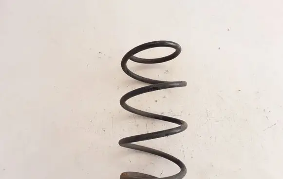 Renault Laguna III Front coil spring 540090004R