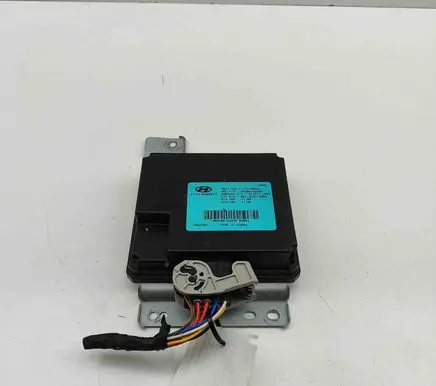 Hyundai Santa Fe Other devices 953002W300