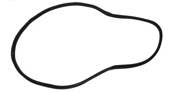 BMW 1 F40 Rubber seal front coupe door 7452341