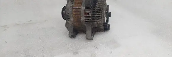 Generator/alternator