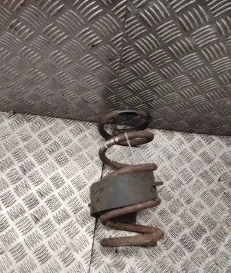 Rear coil spring