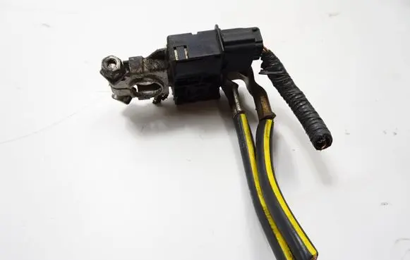 Negative earth cable (battery)