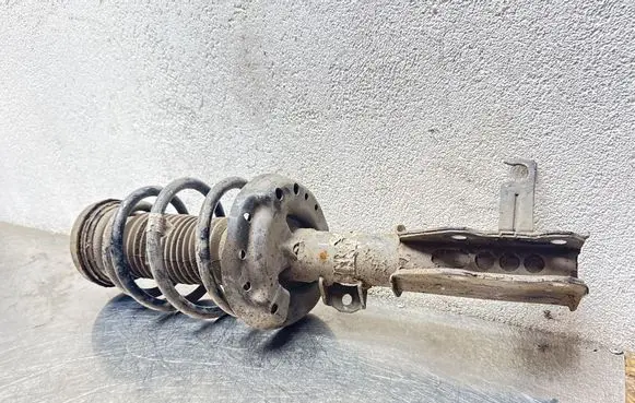 Opel Insignia A Front shock absorber with coil spring