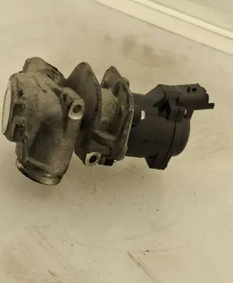Peugeot Partner EGR valve 424730151 L216